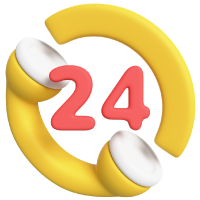 Dedicated 24x7 Support